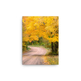 “Autumn Road” Canvas
