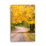 “Autumn Road” Canvas