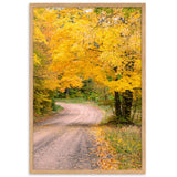 “Autumn Road” Framed Matte Poster